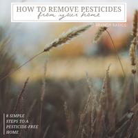 How to Remove Pesticides from Your Home in 8 Simple Steps 