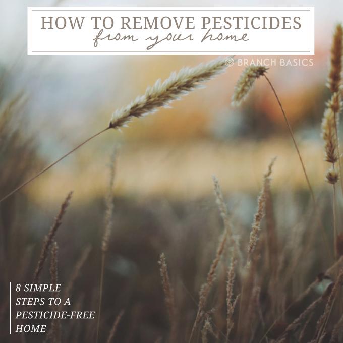 featured image: How to Remove Pesticides