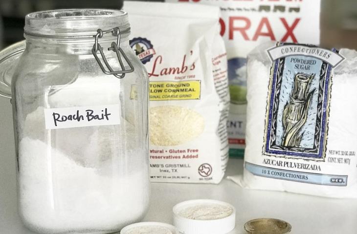 featured image: Safe, Easy & Effective Way to Get Rid of Roaches