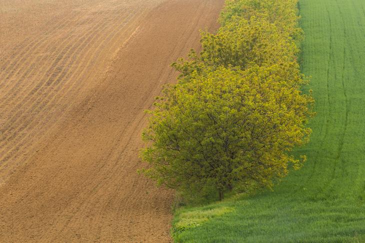 featured image: Regenerative Agriculture And What We Learned From Kiss The Ground