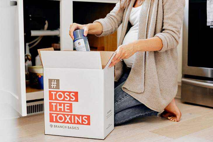 featured image: #TossTheToxins To Create a Healthy Home: An Overview