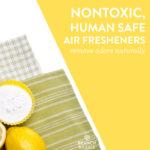 Branch Basics Nontoxic Air Fresheners