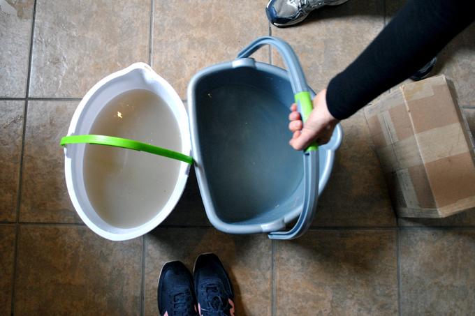 Official Branch Basics Deep Cleaning Method