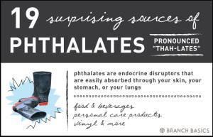 Branch Basics | Common Household Chemicals to Avoid: Phthalates