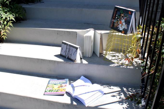 Branch Basics | Sunning to Offgas VOCs