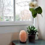 Currently-Loving-Branch-Basics-Himalayan-Pink-Salt-Lamp-7