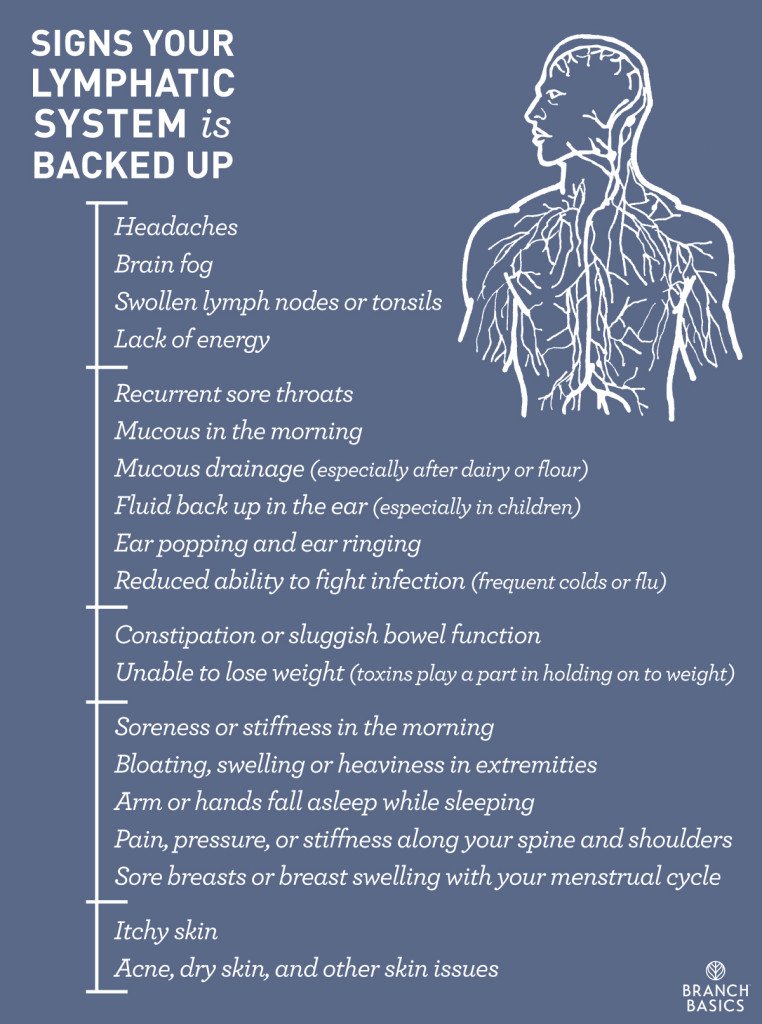 Branch Basics | Signs Your Lymphatic System is Backed Up