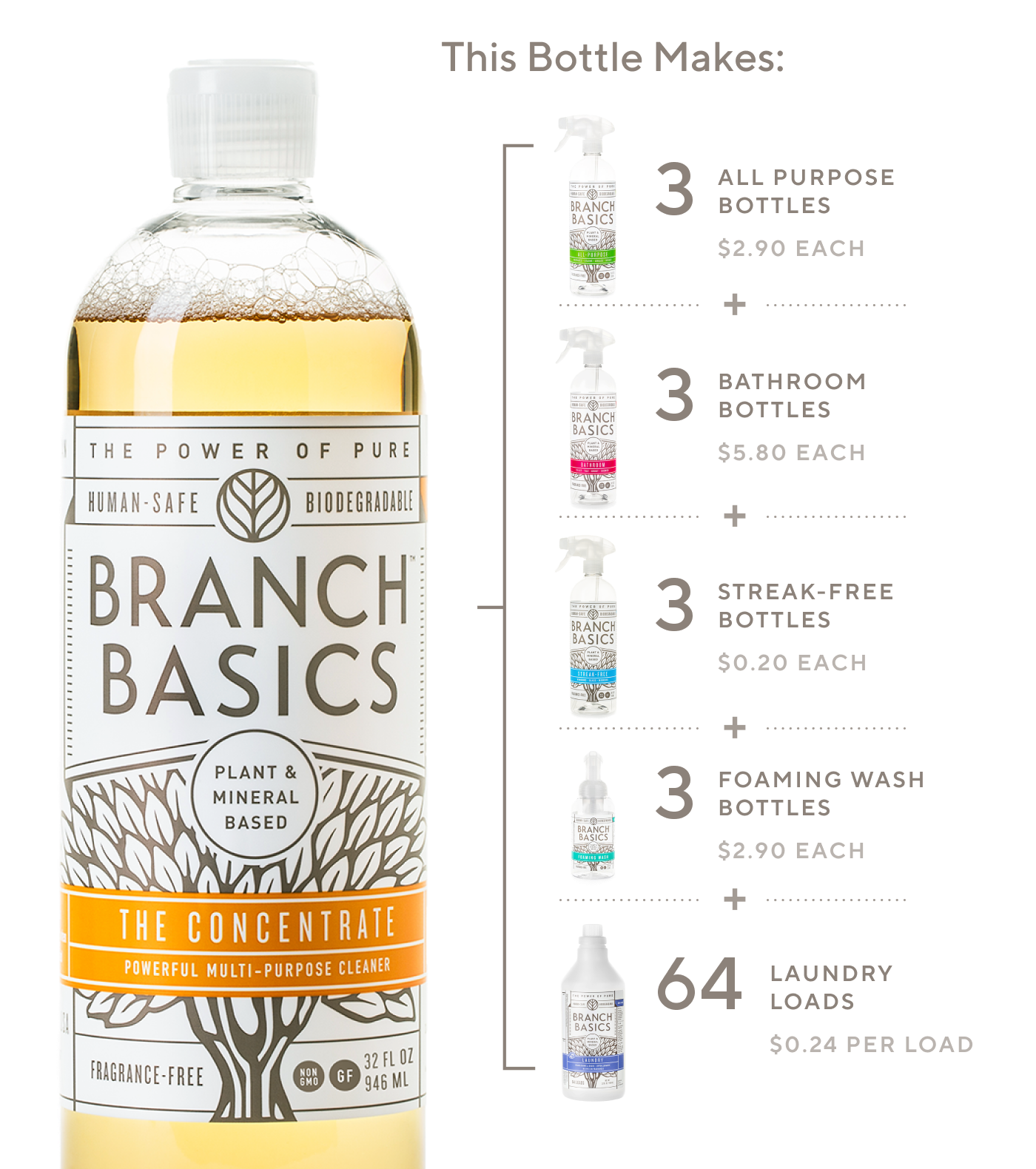 Branch Basics Concentrate economic model
