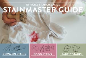 Official Branch Basics Stainmaster Guide: How to Treat Any Stain Quickly and Easily