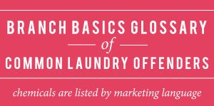 Toxic Laundry chemicals glossary Branch Basics