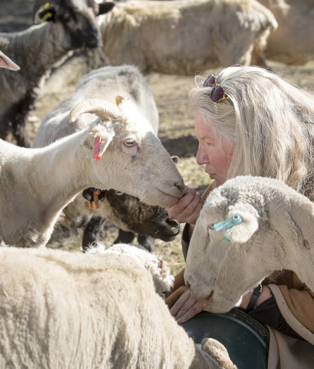 A Sustainable, Family Farm